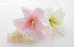 画像4: 造花カサブランカ　ピンク＆ホワイト　 ボリュームT (4)