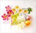 画像2: 造花オーダーメイドブーケ　ラウンド22・ブトニア・ヘッドパーツ（プルメリア＆カラフルローズ） (2)