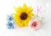 画像6: 造花オーダーメイドミニブーケ　ミニブーケ16・ブトニア・ヘッドパーツ（ヒマワリ＆ガーベラ＆デルフィニウム）